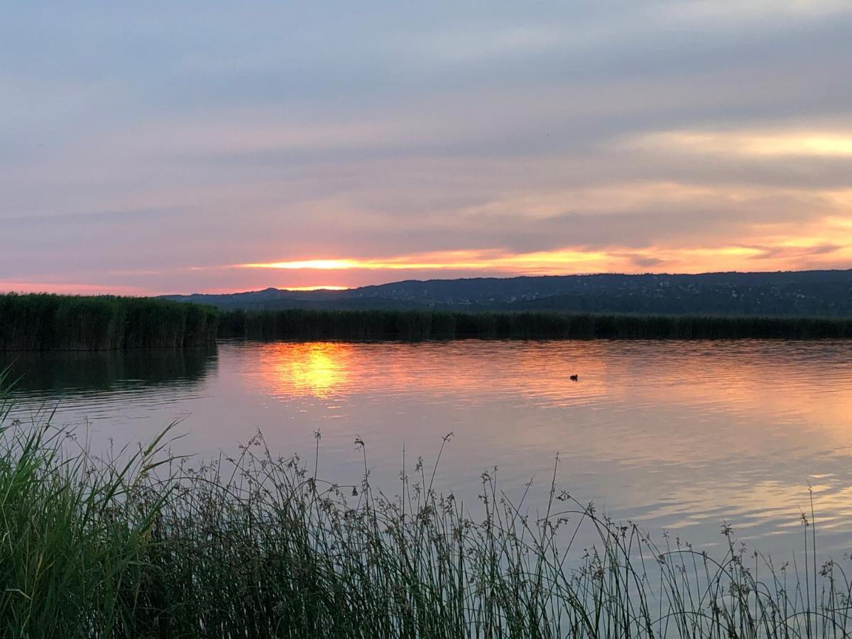 Lilihome Gárdony Exteriör bild